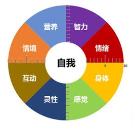 心理學與生活 用薩提亞模式做2018年總結(jié)——多媒體技術(shù)的推廣與應(yīng)用